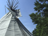 Tipi